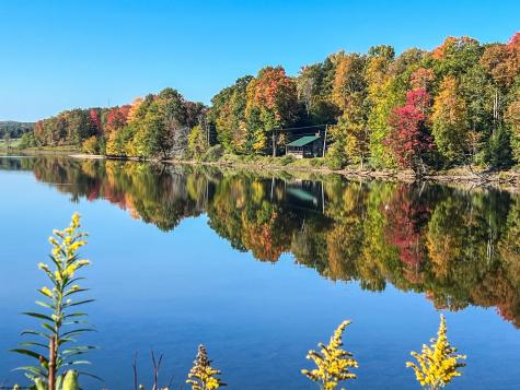 18 Catbird Lane Terra Alta WV 26764