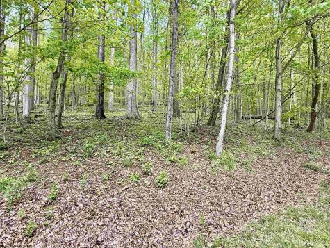 145 Scott Drive Grafton WV 26354