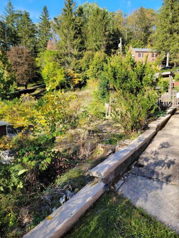 189 Summit Street Elkins WV 26241