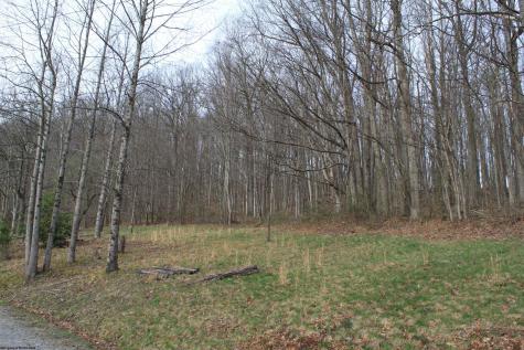 238 Excelsior Road Webster Springs WV 26288