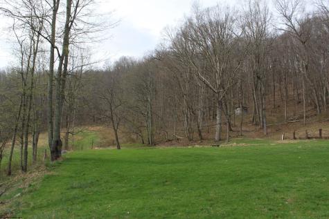 238 Excelsior Road Webster Springs WV 26288