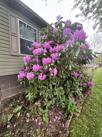 100 Washington Avenue Elkins WV 26241