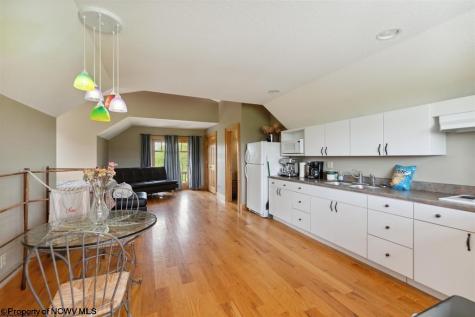 170 Jaybee Way Davis WV 26260