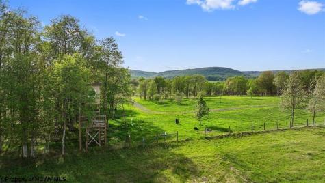 170 Jaybee Way Davis WV 26260