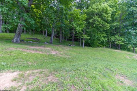 93 Brooke Drive Grafton WV 26354