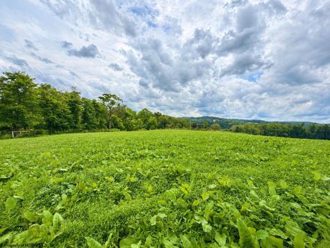 1355 N Preston Highway Kingwood WV 26537
