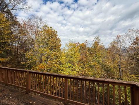 981 Eagles Nest Road Elkins WV 26241