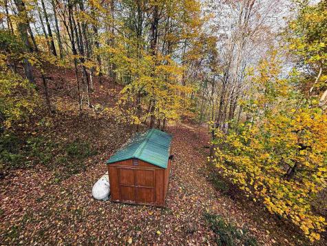 981 Eagles Nest Road Elkins WV 26241