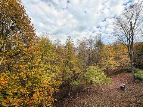 981 Eagles Nest Road Elkins WV 26241