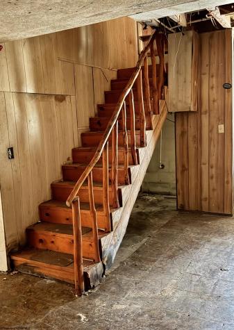 200 Beavertail Drive Bruceton Mills WV 26525