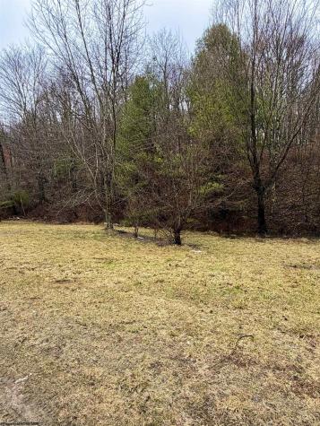 200 Beavertail Drive Bruceton Mills WV 26525