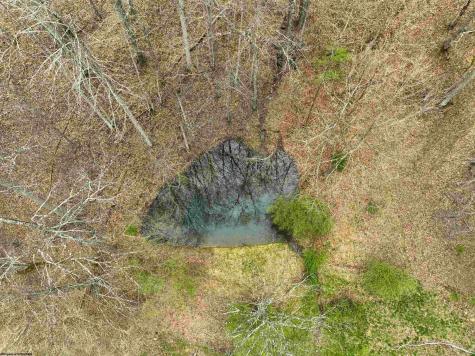 856 Arnolds Creek Road West Union WV 26456-0000