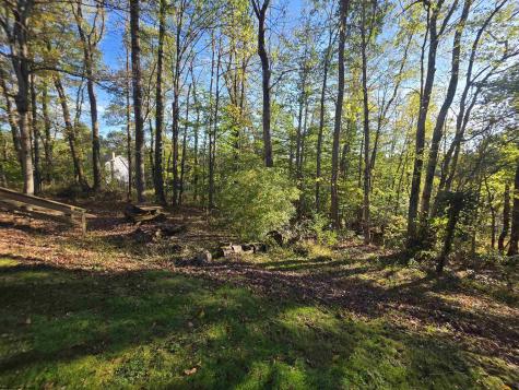 110 Lynne Avenue Kingwood WV 26537