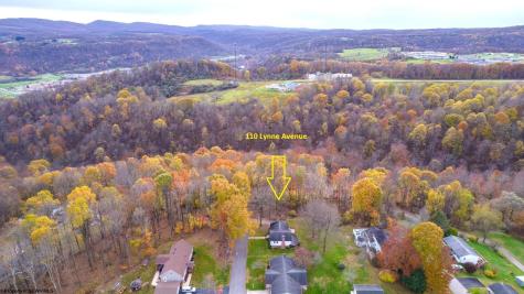 110 Lynne Avenue Kingwood WV 26537