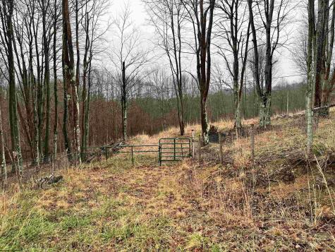 9179 Alexander Road French Creek WV 26218