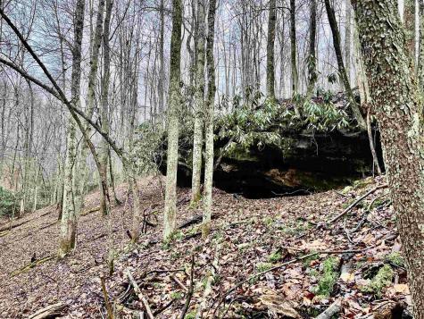 9179 Alexander Road French Creek WV 26218