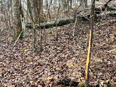 9179 Alexander Road French Creek WV 26218