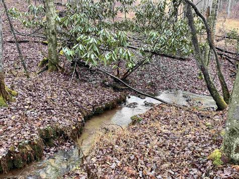 9179 Alexander Road French Creek WV 26218