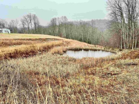 9179 Alexander Road French Creek WV 26218