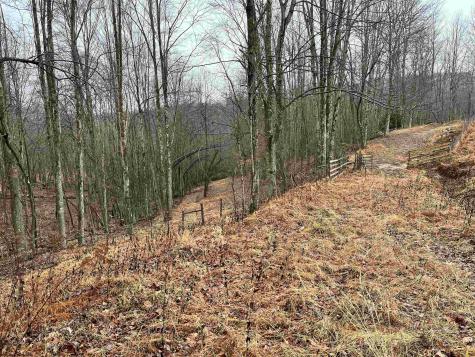 9179 Alexander Road French Creek WV 26218