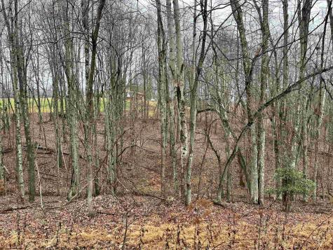 9179 Alexander Road French Creek WV 26218