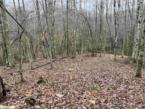 9179 Alexander Road French Creek WV 26218