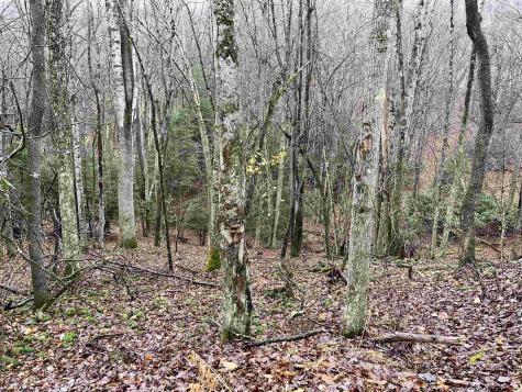 9179 Alexander Road French Creek WV 26218