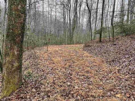 9179 Alexander Road French Creek WV 26218