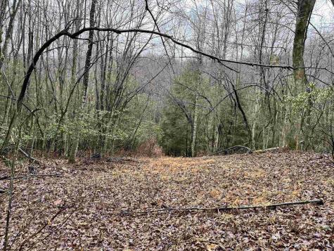 9179 Alexander Road French Creek WV 26218