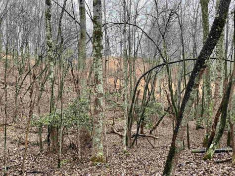 9179 Alexander Road French Creek WV 26218