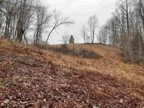 9179 Alexander Road French Creek WV 26218