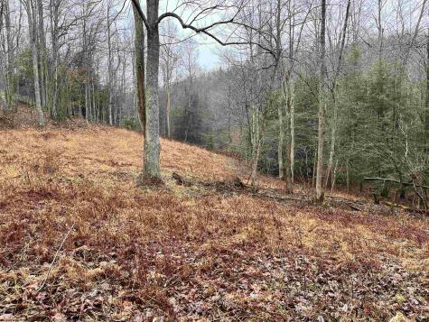 9179 Alexander Road French Creek WV 26218