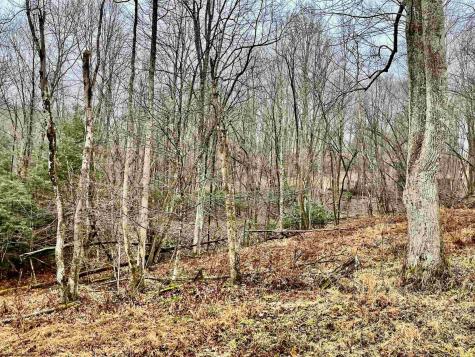 9179 Alexander Road French Creek WV 26218