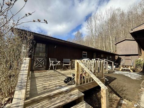 181 Oates Lane Ellamore WV 26267