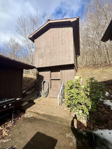181 Oates Lane Ellamore WV 26267