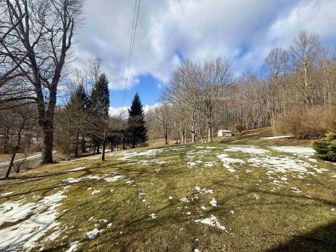 181 Oates Lane Ellamore WV 26267