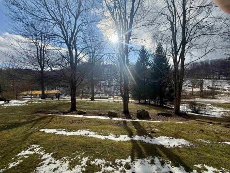 181 Oates Lane Ellamore WV 26267