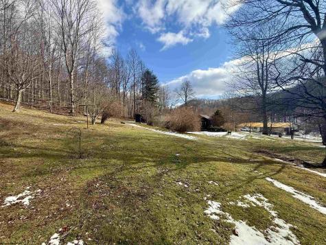 181 Oates Lane Ellamore WV 26267