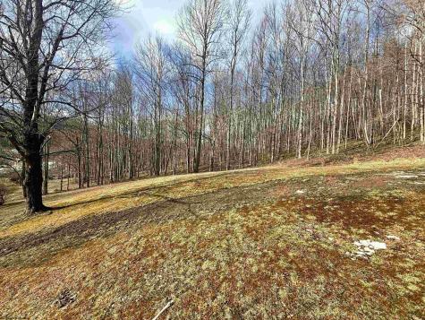 181 Oates Lane Ellamore WV 26267