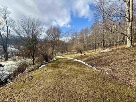 181 Oates Lane Ellamore WV 26267