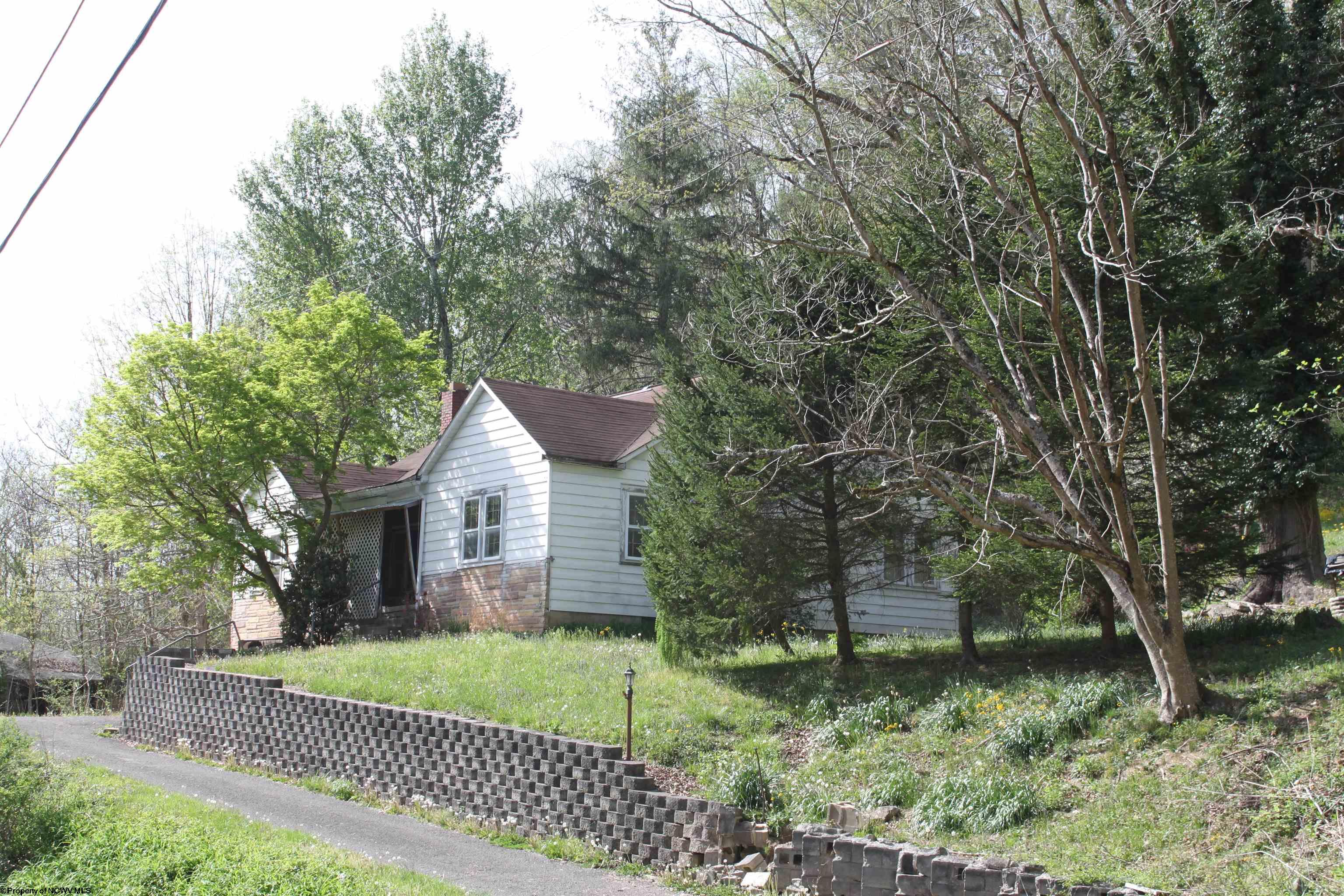 1349 Point Mountain Road Webster Springs WV 26288