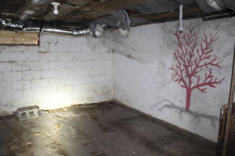 1349 Point Mountain Road Webster Springs WV 26288