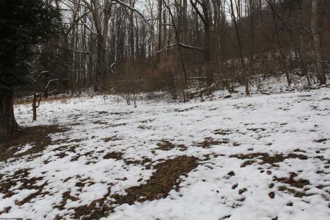 1349 Point Mountain Road Webster Springs WV 26288