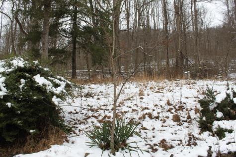 1349 Point Mountain Road Webster Springs WV 26288