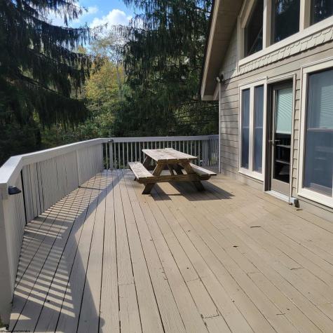 67 Goose Lodge Road Davis WV 26260