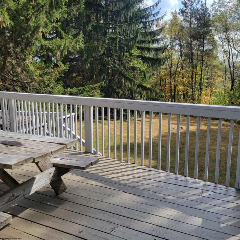 67 Goose Lodge Road Davis WV 26260
