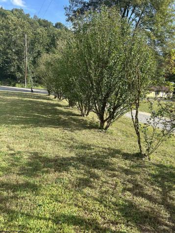 14324 Route 20 South Road Rock Cave WV 26234