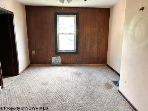 210 Excelsior Street Newburg WV 26410