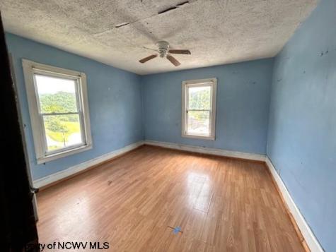 210 Excelsior Street Newburg WV 26410