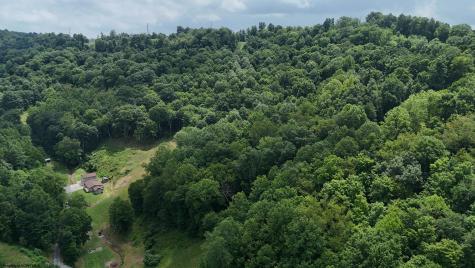 130 Lc Lane West Union WV 26456